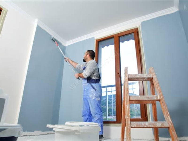 Kangal Boya Badanacı